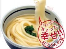 讃岐うどん（うどんの耳入り）