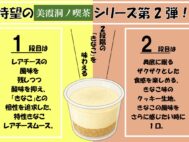【美霞洞ノ喫茶】きなこのレアチーズムースケーキ